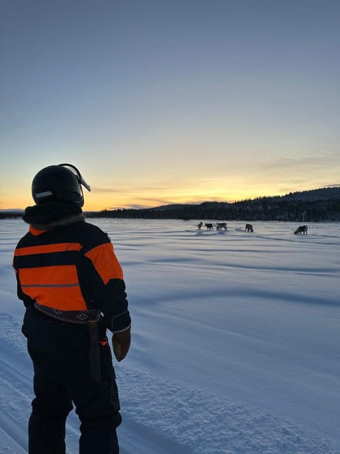 Saariselkä: Ice Fishing Tour to Lake Inari, reindeers& lunch - Should you book this Lake Inari tour?