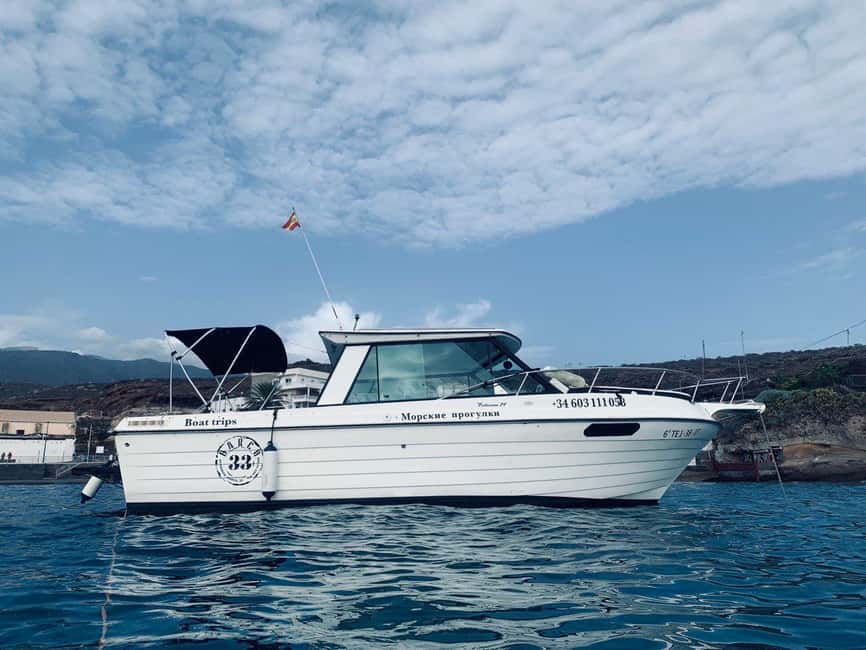Santa Cruz de Tenerife: Private Family Fishing Tour - Seasickness is the serious consideration