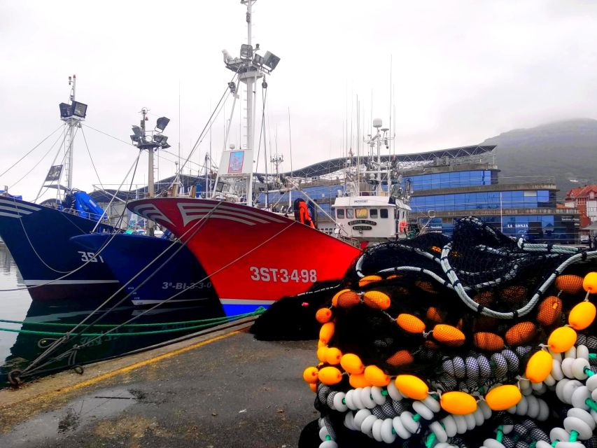 Santoña: Anchovy Art Gallery with Fishing Port and Market - Who should book this Santoña experience?