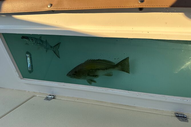 Santorini Fishing Private Cruise boat tour - BBQ, Snorkeling - What $514.18 per person really buys