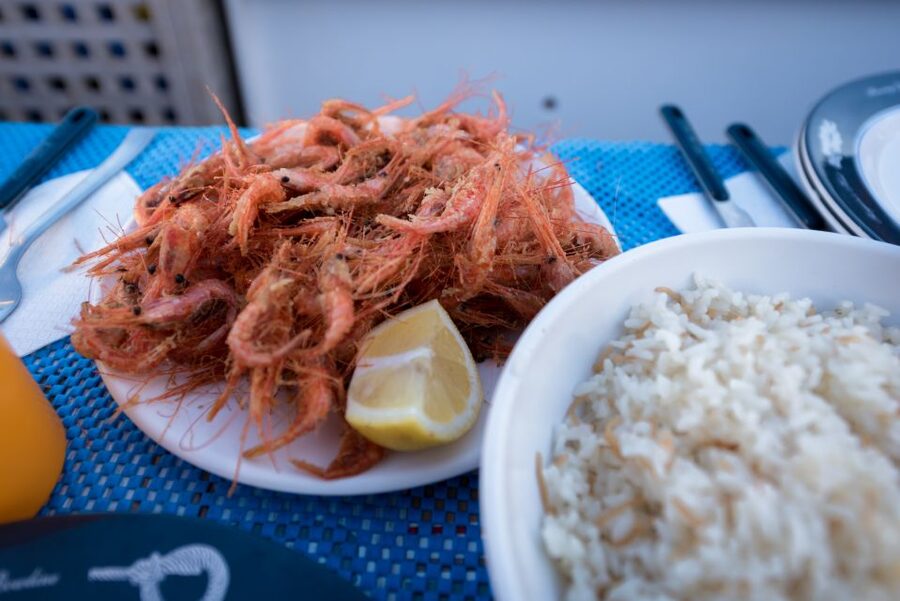 Santorini: Traditional Fishing Trip and Fresh Fish Lunch - Key points to know before booking