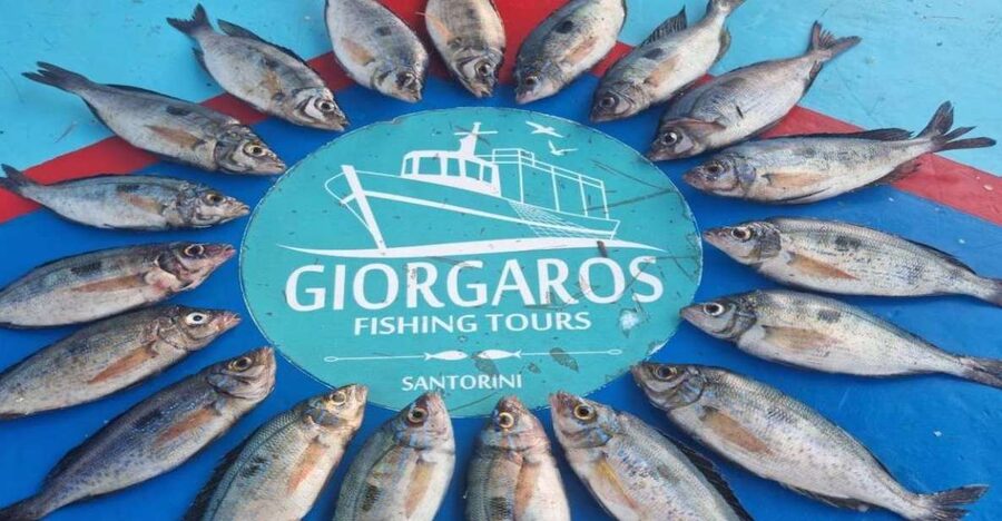 Santorini: Traditional Fishing Trip and Fresh Fish Lunch - A working boat with useful comforts