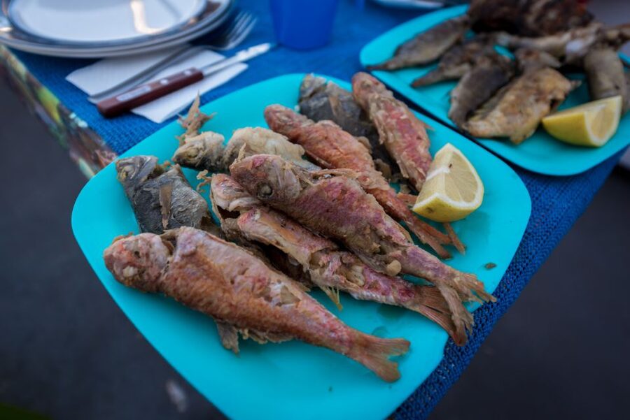 Santorini: Traditional Fishing Trip and Fresh Fish Lunch - Santorini from the southern coast