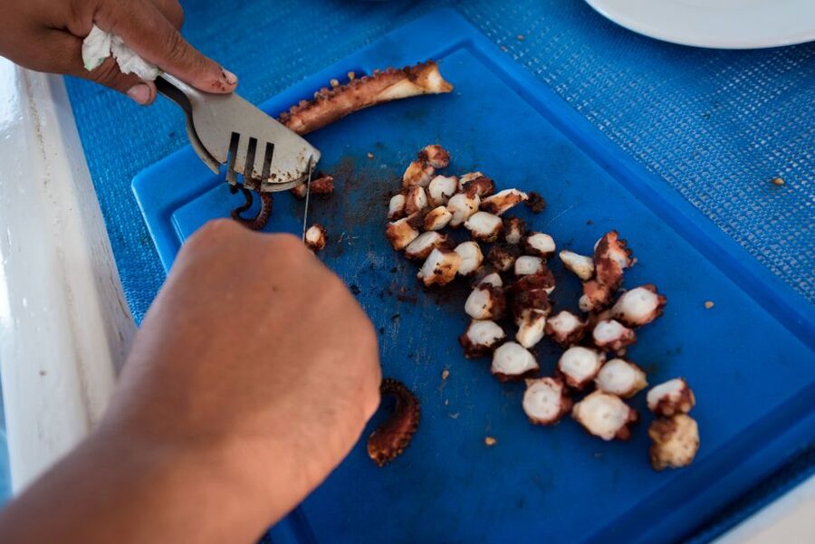 Santorini: Traditional Fishing Trip and Fresh Fish Lunch - Hotel pickup makes the morning easier