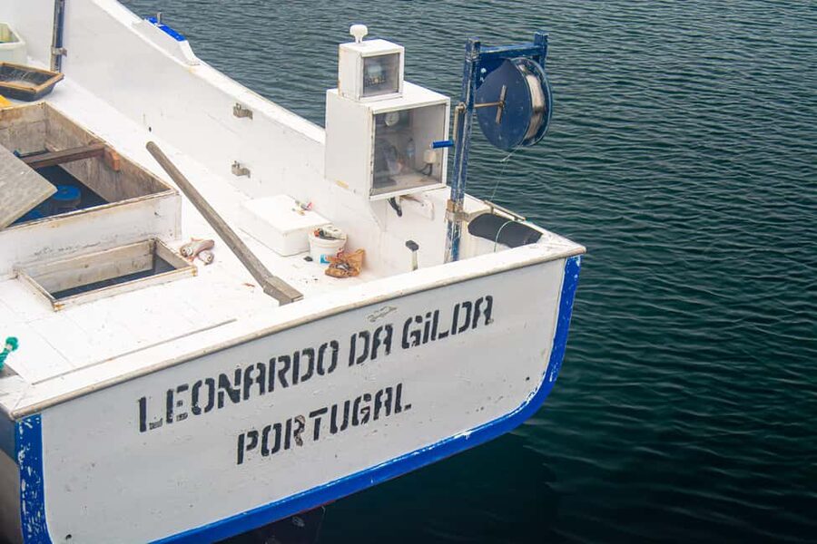 Sao Miguel: Azores Traditional Fishing - Half Day - Following the captain to the fishing grounds