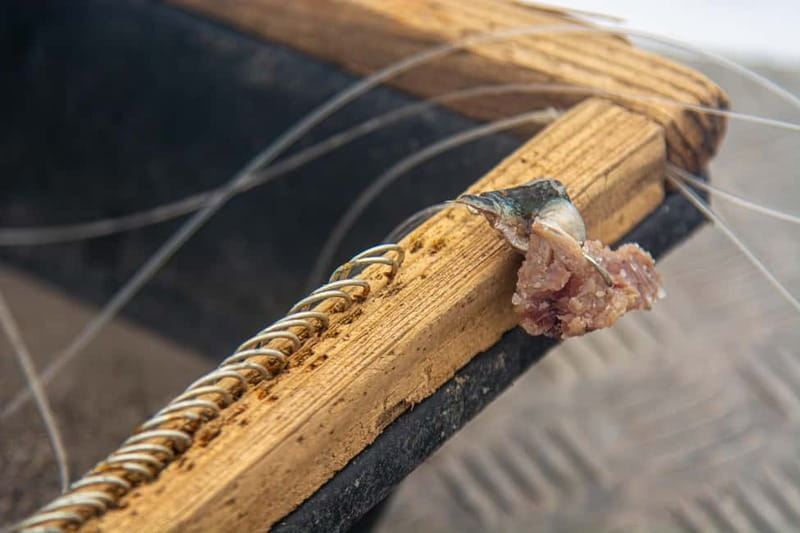 Sao Miguel: Azores Traditional Fishing - Half Day - Practical details before you book