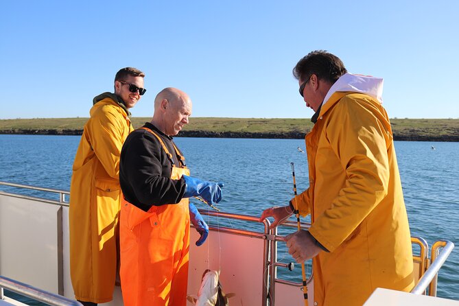Sea Fishing Experience from Reykjavik - Key Points Before You Book