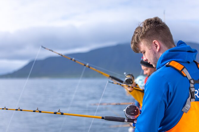 Sea Fishing Experience from Reykjavik - Fishing the Cod Grounds