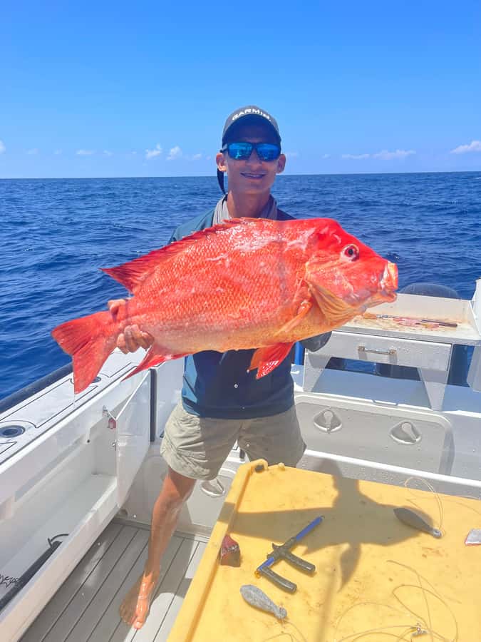 Seychelles: Guided Fishing Trip with Pickup and Equipment - Weather, waves, and realistic expectations