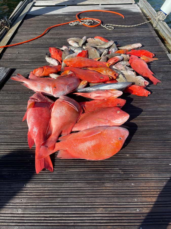 Seychelles: Guided Fishing Trip with Pickup and Equipment - Who will enjoy this most