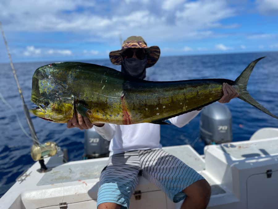 Seychelles: Guided Fishing Trip with Pickup and Equipment - The fish you may be chasing