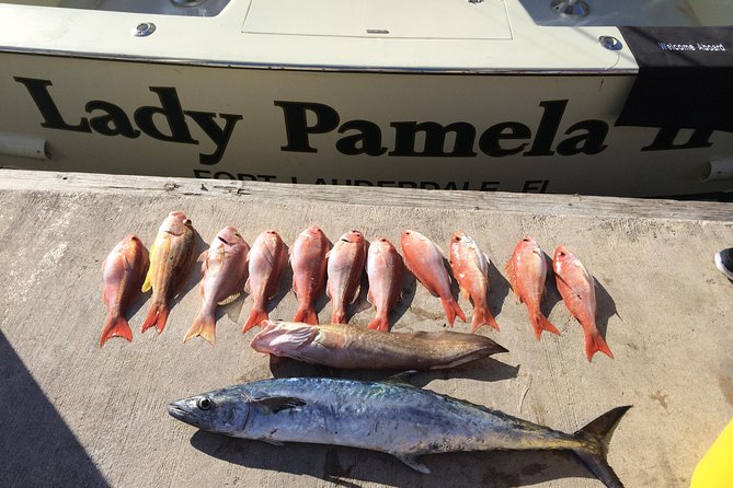 Shared BIG GAME Sportfishing Up To Six People - Wreck fishing for a different kind of action