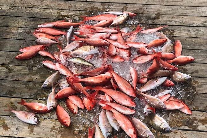 Shared Deep Sea Fishing Trip from Destin - Key points to know before you book