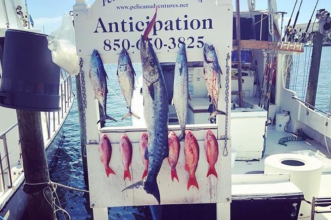 Shared Deep Sea Fishing Trip from Destin - Meeting at Pelican Adventures on Harbor Boulevard