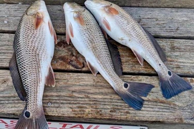 Shared Deep Sea Fishing Trip from Destin - The catch can change from one side of the boat to the other