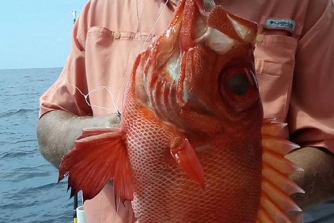 Shared Deep Sea Fishing Trip from Destin - Fish cleaning and the hook-it, cook-it option