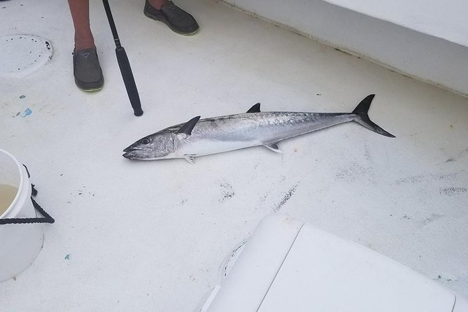 Shared Deep Sea Fishing Trip from Destin - Is $169 a fair price?