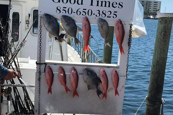 Shared Deep Sea Fishing Trip from Destin - Who should book this fishing trip?