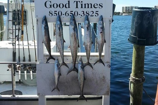 Shared Deep Sea Fishing Trip from Destin - What six hours of bottom fishing feels like
