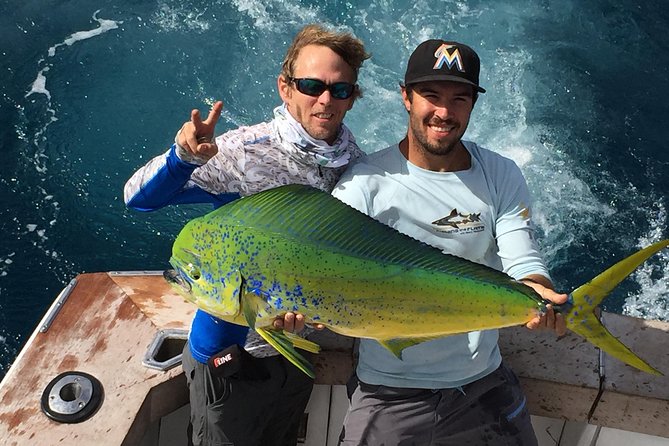 Shared Sportfishing Trip from Fort Lauderdale - What happens during the four-hour trip