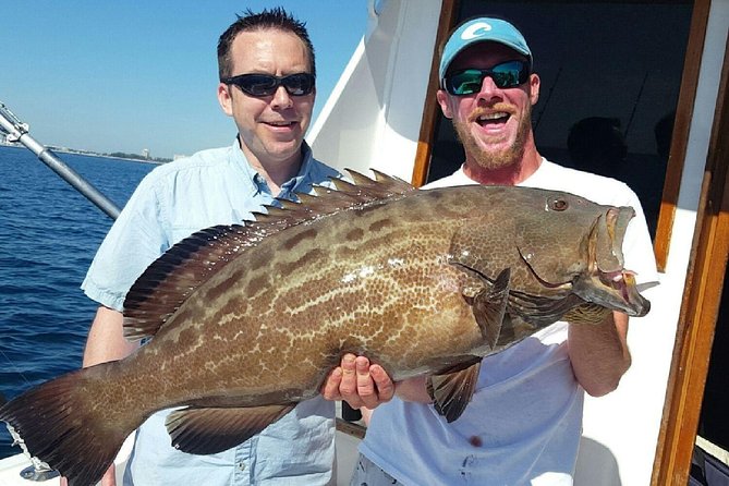 Shared Sportfishing Trip from Fort Lauderdale - Fish you might actually catch