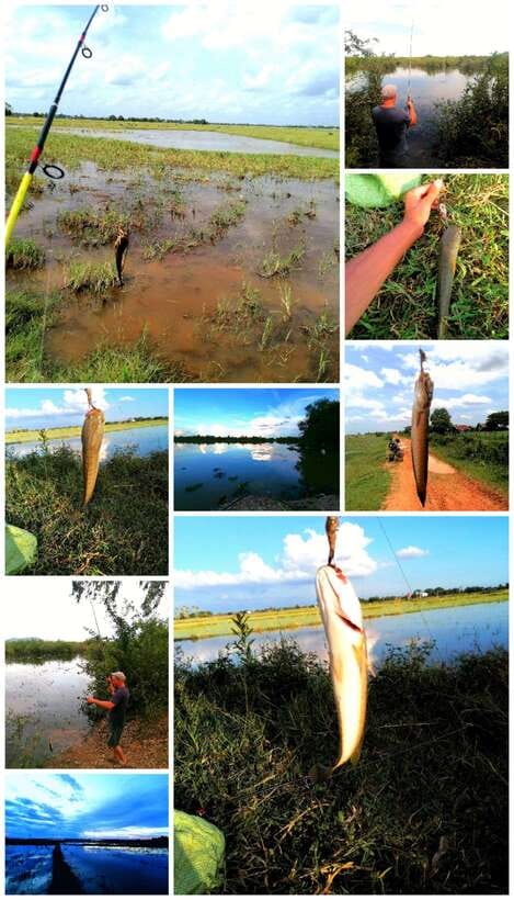 Siem Reap: Fishing in the rice fields, in the villages of Siem Reap - Key points to know before booking