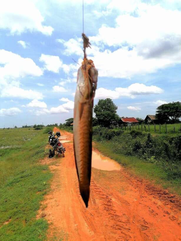 Siem Reap: Fishing in the rice fields, in the villages of Siem Reap - Moving to new spots in the afternoon