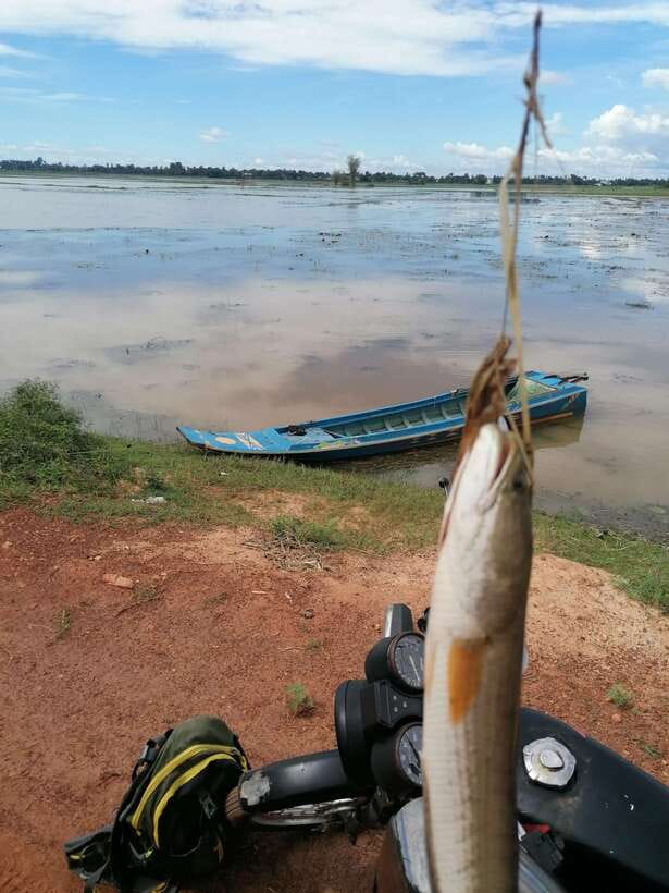 Siem Reap: Fishing in the rice fields, in the villages of Siem Reap - Simple preparation makes the day better