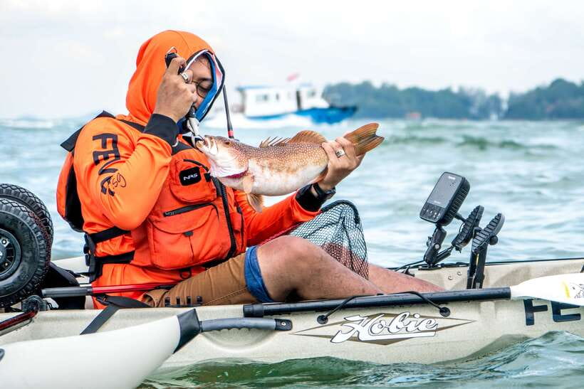 Singapore: 4-hour Kayak Fishing Experience - What you might catch