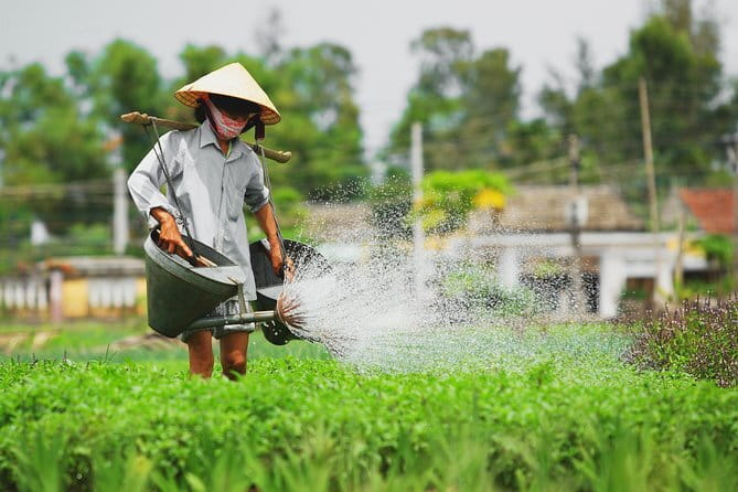 Small Group Bicycle Tour with Farming and Fishing Experience - What the $31 price really includes