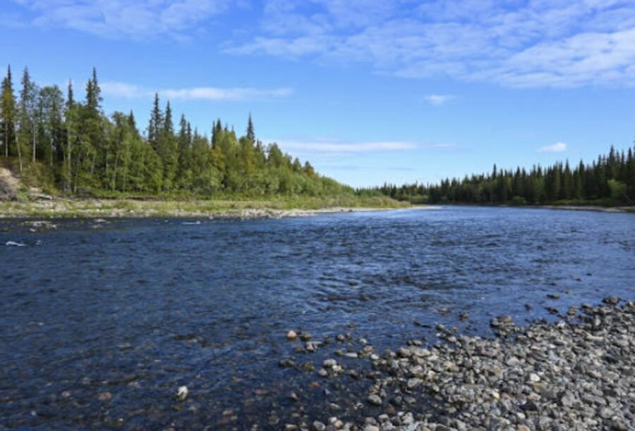 Snake River Full–Day Group Fishing Trip - Dry flies, streamers, and spin cast options