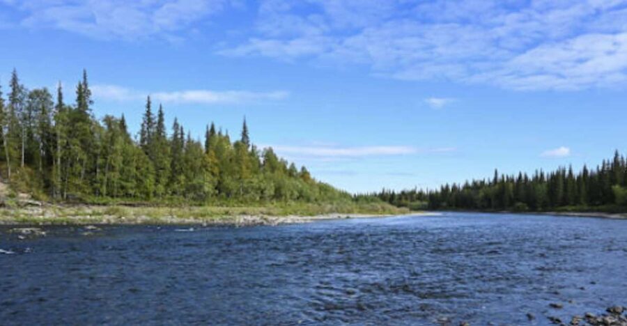 Snake River Full–Day Group Fishing Trip - What the $1,200 price really covers