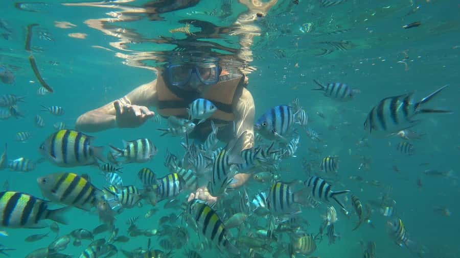 Snorkeling Kayaking Fishing Swimming Activities - Key points to know before booking