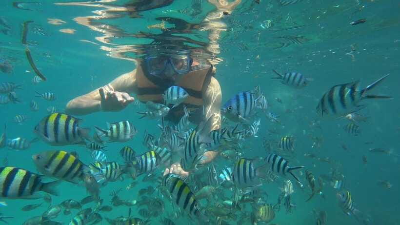 Snorkeling Kayaking Fishing Swimming Activities - What the $43 price really covers