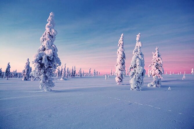 Snowmobile and Ice Fishing Experience - Weather, cancellations, and the best day to book