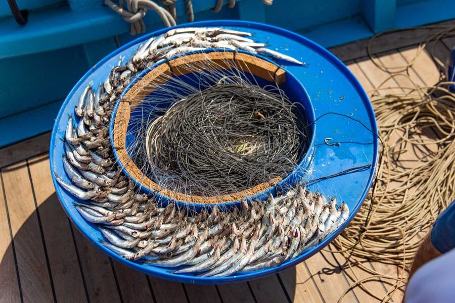 Sorrento: Sea-Fishing Tour with Lunch Onboard - Capri by boat: grottoes, cliffs, and famous rock formations
