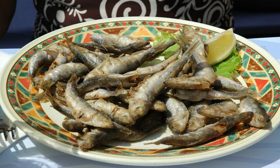Sorrento: Sea-Fishing Tour with Lunch Onboard - Choosing between two hours on Capri or more fishing