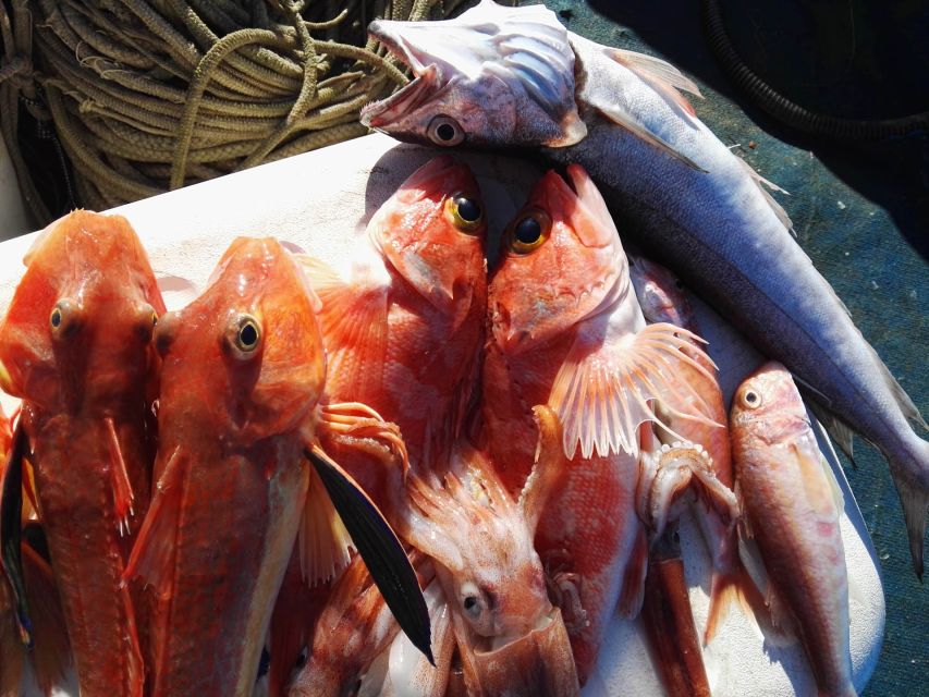 Sorrento: Sea-Fishing Tour with Lunch Onboard - Booking tips for a smoother day