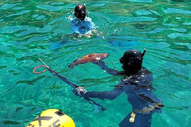 Spearfishing in Chania, Crete (price is per group) - What the six-hour Chania outing is really about