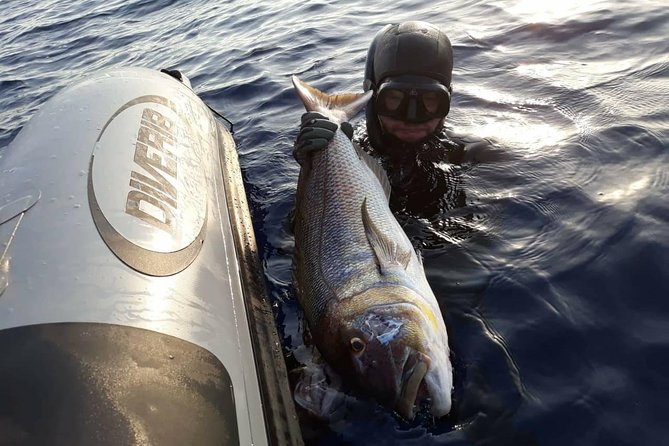 Spearfishing in Chania, Crete (price is per group) - How physical is the experience?