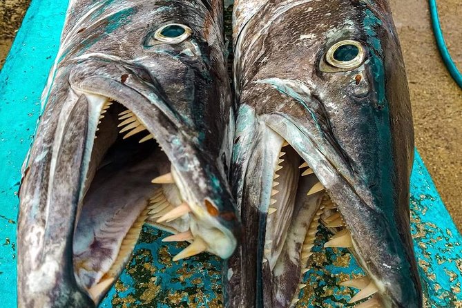 Spearfishing Playa del Carmen or Tulum - Equipment deserves a careful check