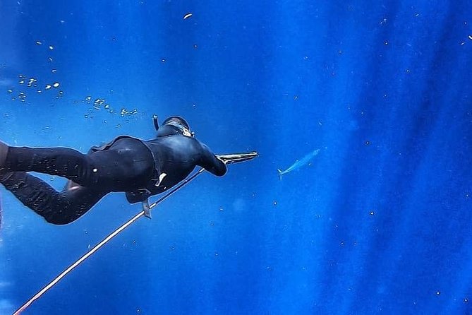 Spearfishing Playa del Carmen or Tulum - Who should book this morning on the water?