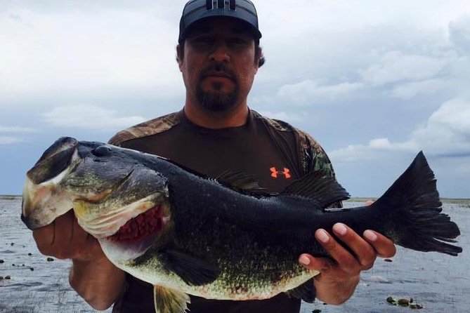 St Johns River Fishing Trip near Daytona - Fishing for largemouth bass