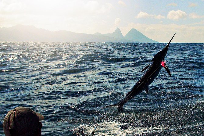 St Lucia Sport Fishing Tour - A four-hour fishing run from Castries