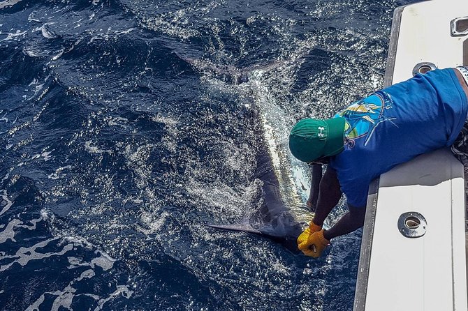 St Lucia Sport Fishing Tour - Drinks on board, but no meal