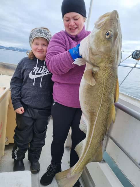Stykkishólmur: Sea Angling Tour with Local Guide - Key points to know before casting off