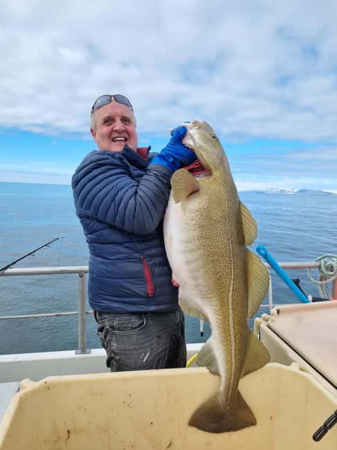 Stykkishólmur: Sea Angling Tour with Local Guide - Setting out from Stykkishólmur