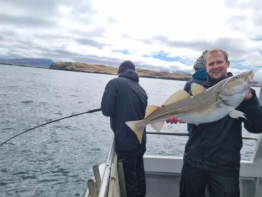 Stykkishólmur: Sea Angling Tour with Local Guide - Who should book this fishing trip?