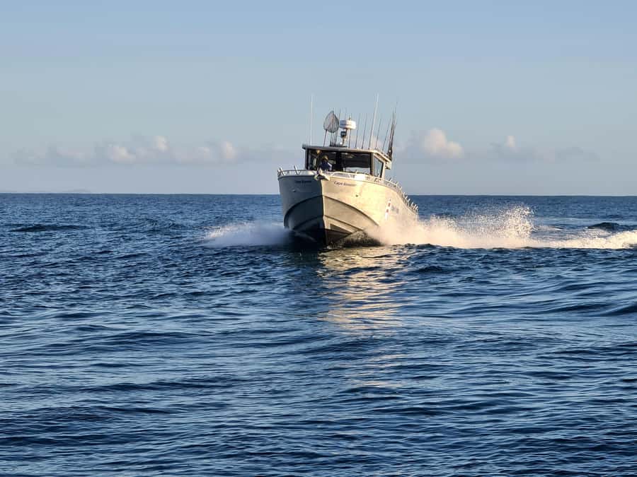 Sunshine Coast: Fishing Charters - A 650HP boat built for fishing