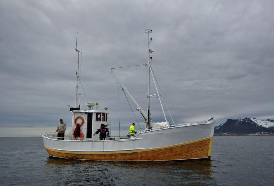 Svolvær: Fishing Trip on the Lofoten Sea - Key points before you book
